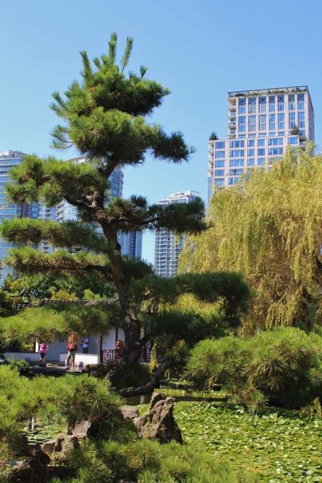 Vancouver — travel photo