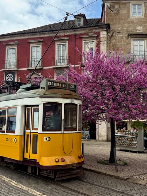 Lisbon — travel photo