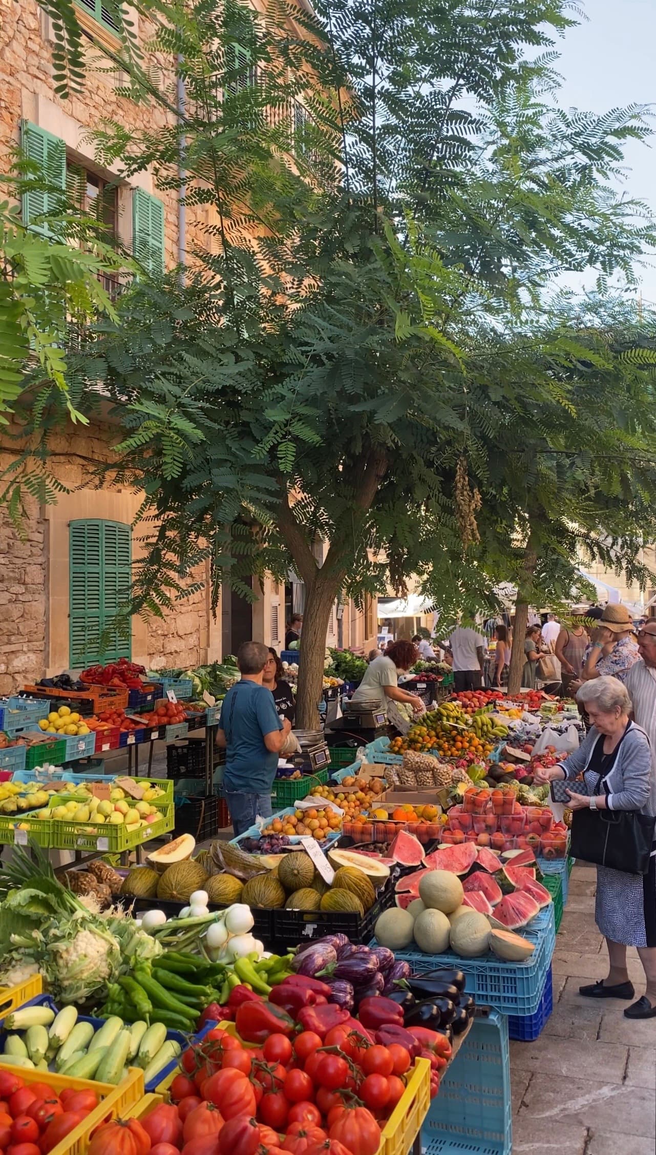 Mallorca — travel photo